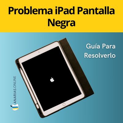 Guía Para Resolver el Problema de iPad Pantalla Negra